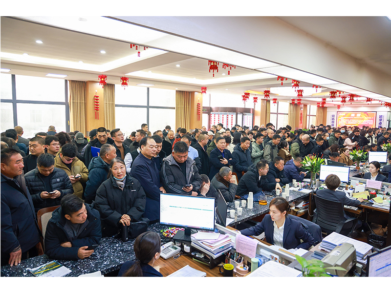 河南JDB电子｜立春又逢“开门红”，奋斗开启新征程